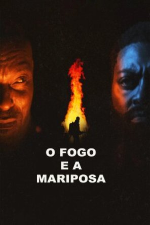 The Fire And The Moth