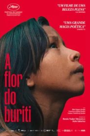 A Flor do Buriti