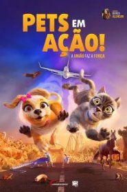 Pets em Ação!