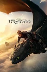 Como Treinar o Seu Dragão