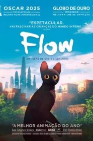 Flow
