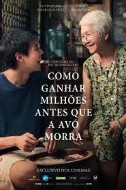 Como Ganhar Milhões Antes Que a Avó Morra
