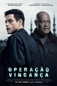 Operação Vingança